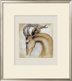 Serengeti Gerenuk
