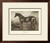 Buy Hermit at AllPosters.com