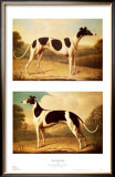 Buy Two Greyhounds at AllPosters.com
