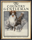 Herding Sheep, c.1916