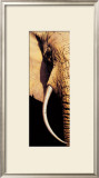 Buy Tusk at AllPosters.com
