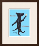 Biscuits Labrador