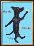 Biscuits Labrador