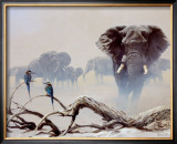 Buy Away from the Herd at AllPosters.com