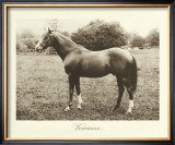 Buy Veronese at AllPosters.com