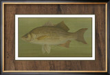 Buy White or Silver Bass at AllPosters.com