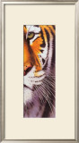 Buy Tiger Eye at AllPosters.com