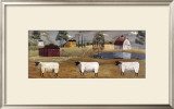 Sheep