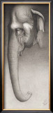 Buy Toni, the Elephant at AllPosters.com