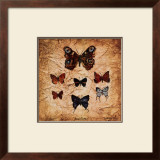 Buy Papillons II at AllPosters.com