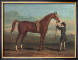 Racehorse Shakespeare