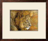 Lion du Serengeti