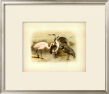 Buy Egret and Heron at AllPosters.com