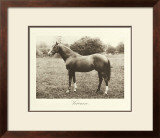Buy Veronese at AllPosters.com