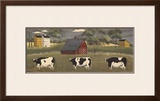 Cows