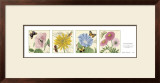 Buy Four Summer Flowers at AllPosters.com