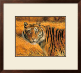 Buy Savannah Alert at AllPosters.com