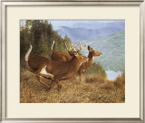 Buy Running Deer at AllPosters.com