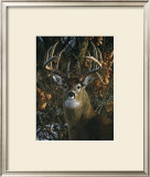 Buy An Autumn Gentleman at AllPosters.com
