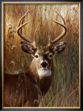 Buy Power and Grace at AllPosters.com