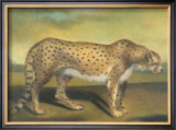 Buy Cheetah at AllPosters.com