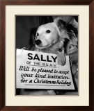 Sally Looks For a Home