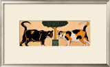 Two Cats