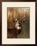 Buy Power and Grace at AllPosters.com