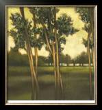 Buy Through the Trees I at AllPosters.com