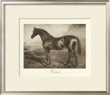 Buy Hermit at AllPosters.com