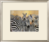 Buy Punda Milia at AllPosters.com