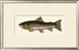 Buy Steelhead Trout at AllPosters.com