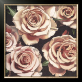 Buy Roses at AllPosters.com