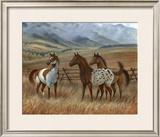 Appaloosa II