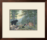 Bears' Campsite
