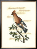 Buy Traditional Shaw Bird II at AllPosters.com