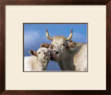 Buy With Love at AllPosters.com