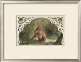 Buy Missy Rabbit at AllPosters.com