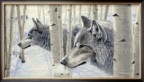 Buy Among the Aspens at AllPosters.com