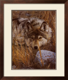 Buy One to One at AllPosters.com