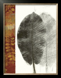 Buy Leaf Study I at AllPosters.com