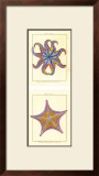 Buy Sea Jewels at AllPosters.com