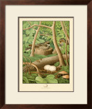 Whippoorwill
