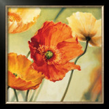 Buy Champs de Coquelicots II at AllPosters.com