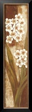 Buy Tropical Blossom II at AllPosters.com