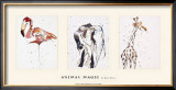 Buy Animal Magic at AllPosters.com