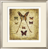 Buy Papillons I V at AllPosters.com