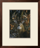 Buy An Autumn Gentleman at AllPosters.com