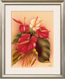 Buy Red and White Anthuriums at AllPosters.com