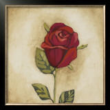Buy Floral Bouquet I at AllPosters.com